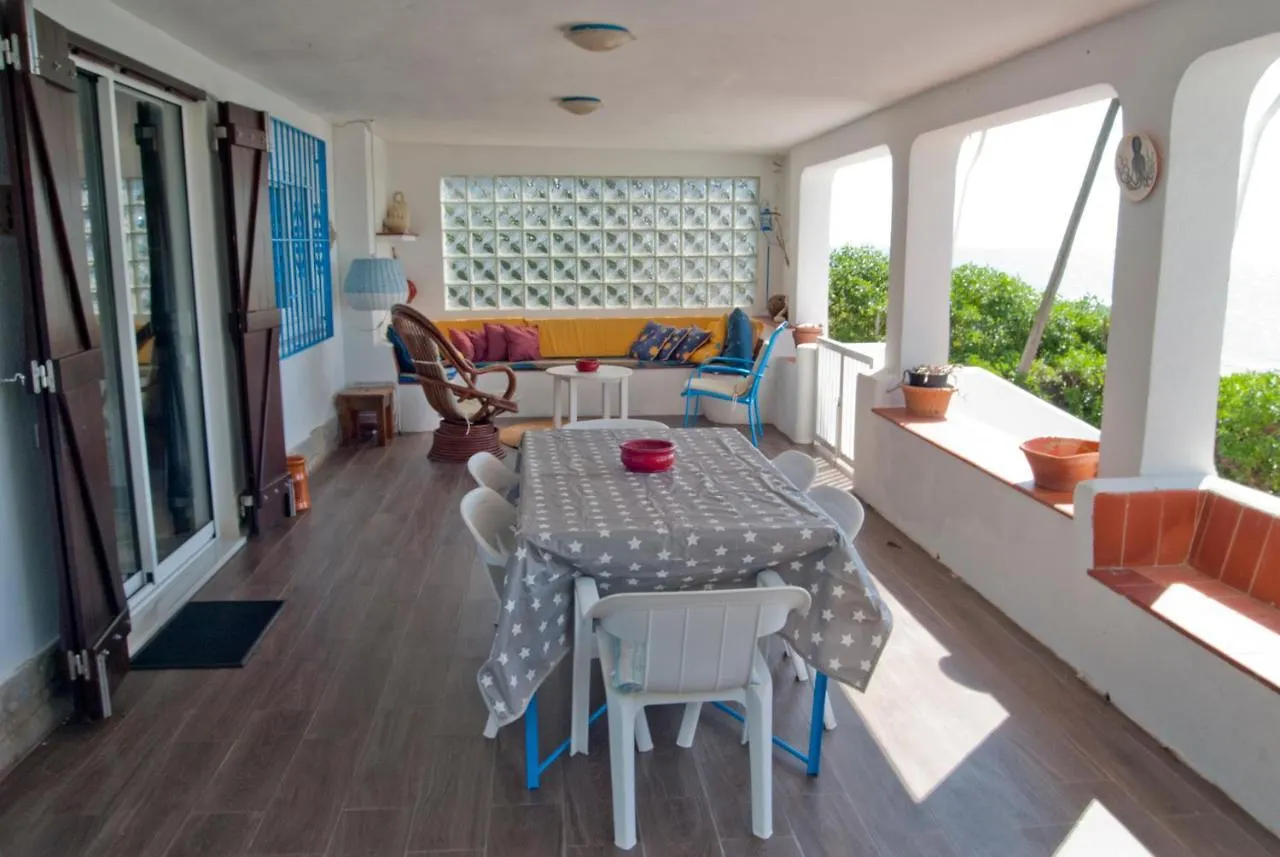 Sargantana Blava Villa Sant Carles De La Rapita