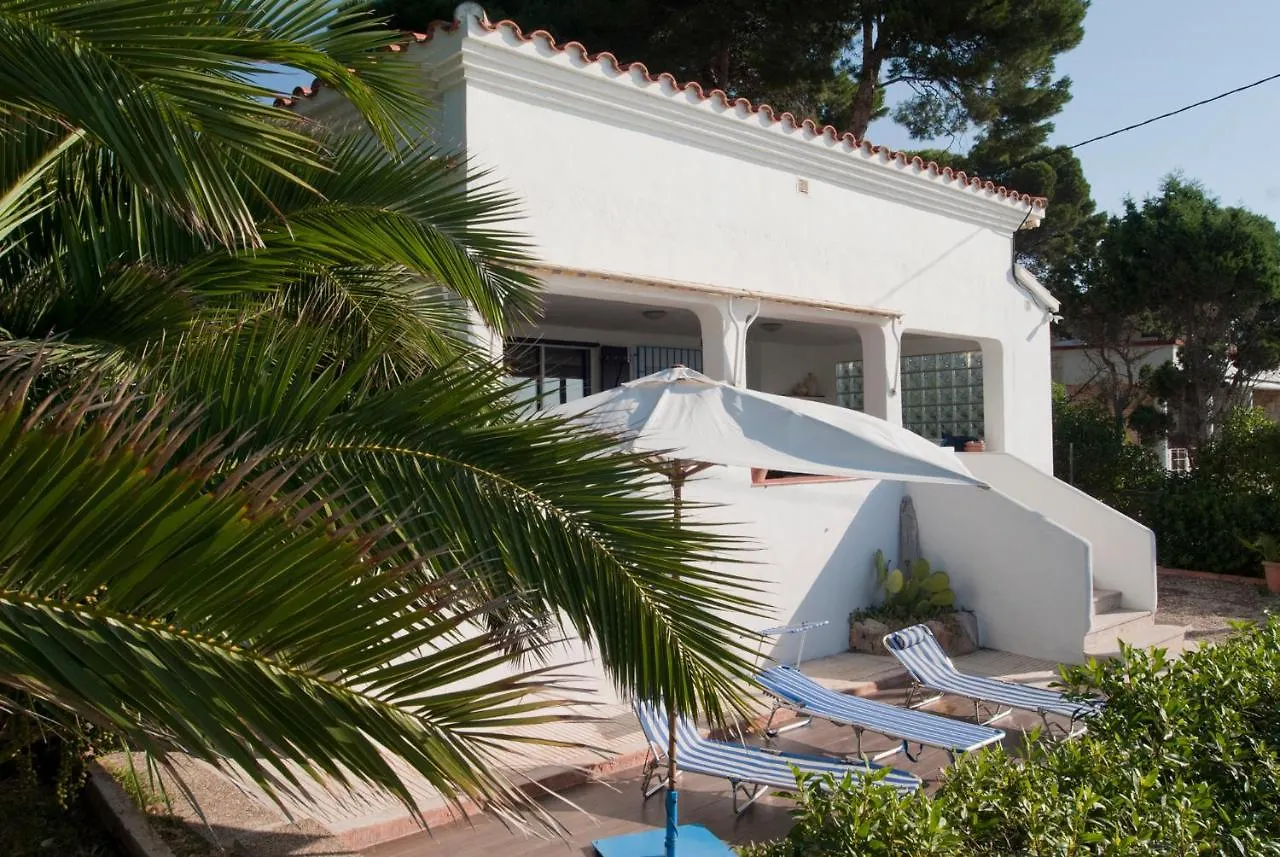 Sargantana Blava Villa Sant Carles De La Rapita Spain
