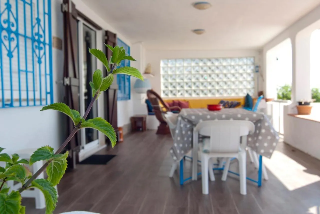 Sargantana Blava Villa Sant Carles De La Rapita