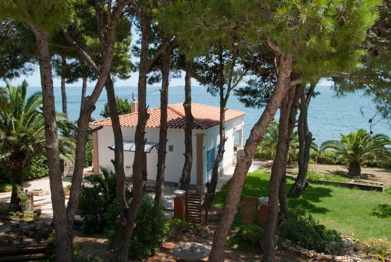 Holiday home Sargantana Blava Villa Sant Carles De La Rapita
